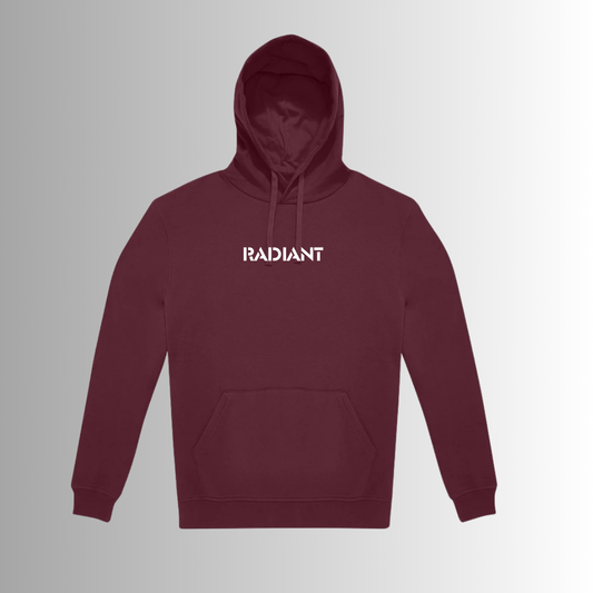 “UNFOLLOW PEOPLE IN REAL LIFE” HOODIE